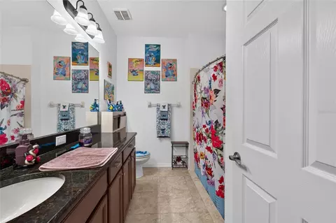 Bath - 11520 Scarlet Ibis Pl, Riverview, FL 33569 photo 2 of 6