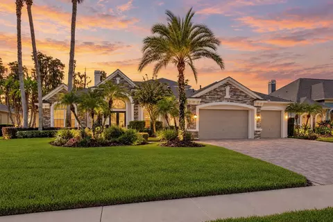 21228 Quiet Haven Ct, Land O Lakes, FL 34637