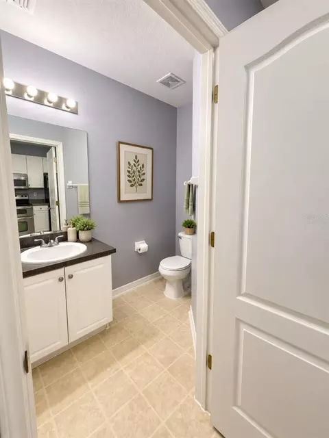 Bath - 12307 Foxmoor Peak Dr, Riverview, FL 33579 photo 1 of 6