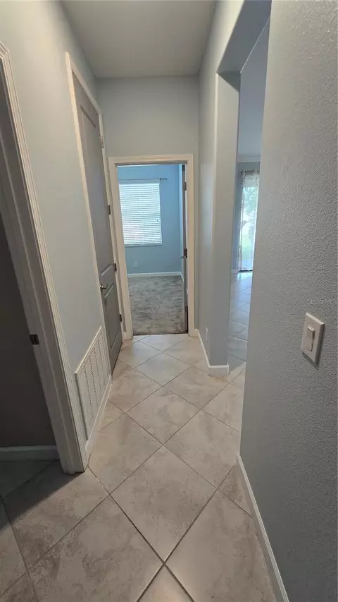 Entry Way - 13917 Roseate Tern Ln, Riverview, FL 33579 photo 2 of 4