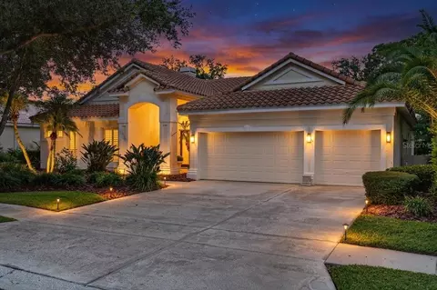 9101 Woodridge Run Dr, Tampa, FL 33647