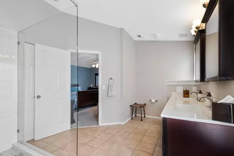 Bath - 1750 Split Fork Dr, Oldsmar, FL 34677 photo 3 of 6