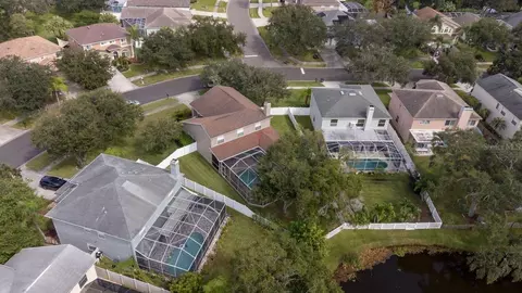 View/Area - 1750 Split Fork Dr, Oldsmar, FL 34677 photo 5 of 6