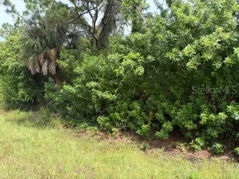 1317 Grendon St, Port Charlotte, FL 33953