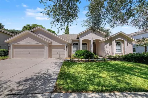 19205 Autumn Woods Ave, Tampa, FL 33647