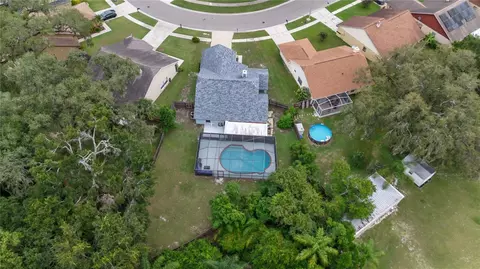 View/Area - 2041 Shadow Pine Dr, Brandon, FL 33511 photo 3 of 7