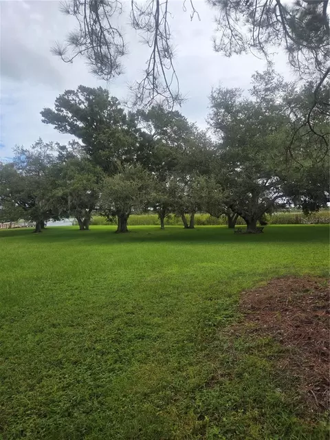 101 St, Largo, FL 33773 photo 5