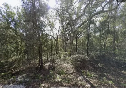 34086 Arrowrock St, Webster, FL 33597 photo 5