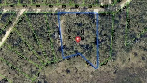34086 Arrowrock St, Webster, FL 33597 photo 8