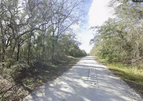 34086 Arrowrock St, Webster, FL 33597 photo 3