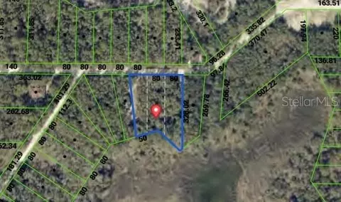 34086 Arrowrock St, Webster, FL 33597 photo 7