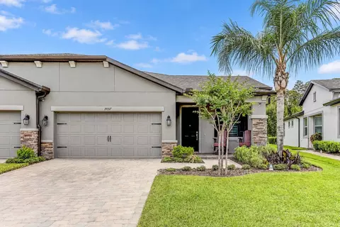 19357 Hawk Valley Dr, Tampa, FL 33647
