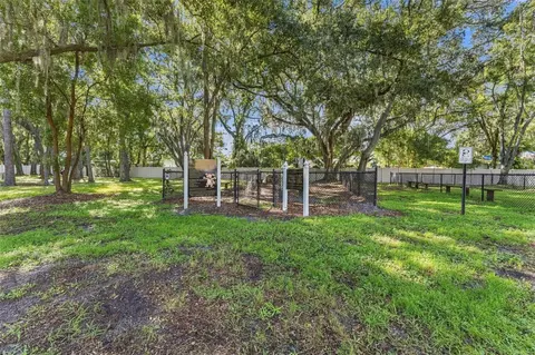 View/Area - 9234 Stone River Pl, Riverview, FL 33578 photo 7 of 7