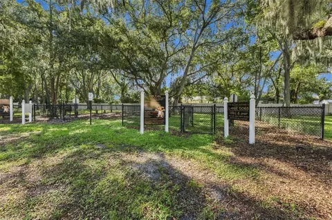 Other - 9234 Stone River Pl, Riverview, FL 33578 photo 9 of 10