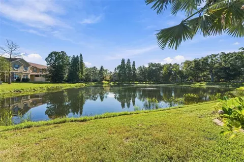 View/Area - 9234 Stone River Pl, Riverview, FL 33578 photo 1 of 7