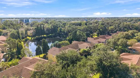 View/Area - 9234 Stone River Pl, Riverview, FL 33578 photo 2 of 7