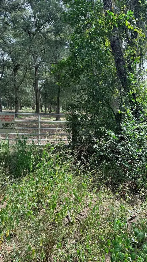 Bowman Road, Spring Hill, FL 34610 photo 7