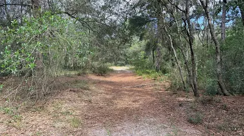 Bowman Road, Spring Hill, FL 34610 photo 10