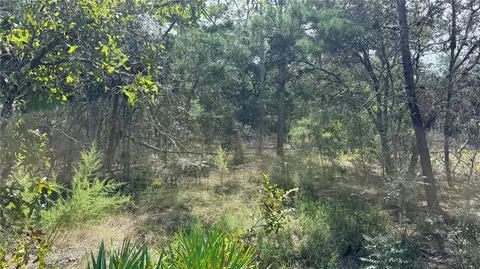 Bowman Road, Spring Hill, FL 34610 photo 4