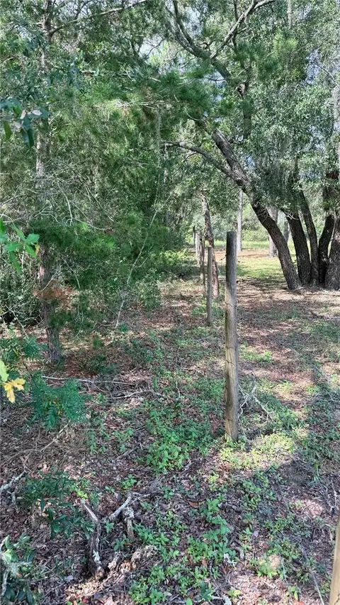 Bowman Road, Spring Hill, FL 34610 photo 3