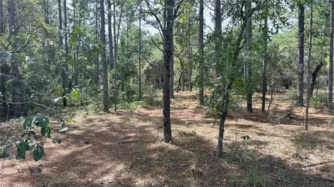 Bowman Road, Spring Hill, FL 34610 photo 5