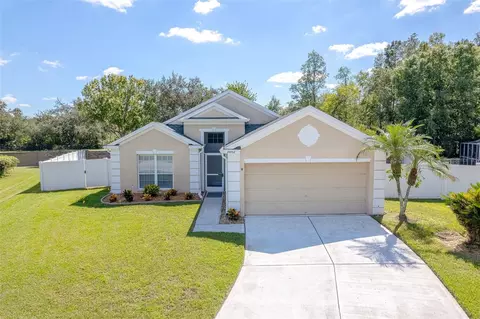 29002 Old Marsh, Wesley Chapel, FL 33543