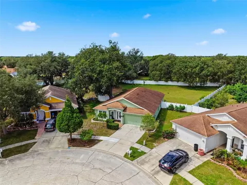 View/Area - 12402 Tree Pointe Ct, Riverview, FL 33578 photo 10 of 10