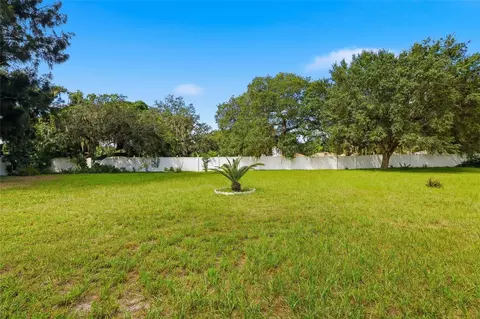 Exterior - 12402 Tree Pointe Ct, Riverview, FL 33578 photo 10 of 11