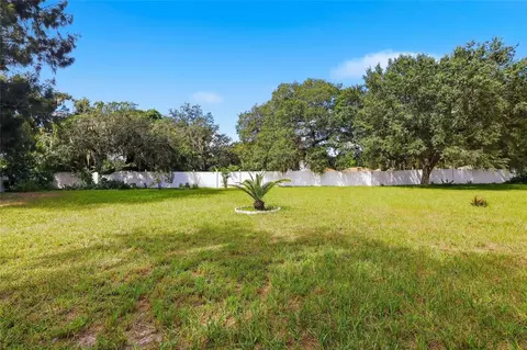 Exterior - 12402 Tree Pointe Ct, Riverview, FL 33578 photo 9 of 11