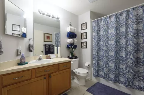 Bath - 12402 Tree Pointe Ct, Riverview, FL 33578 photo 3 of 3