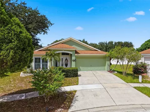 Exterior - 12402 Tree Pointe Ct, Riverview, FL 33578 photo 11 of 11