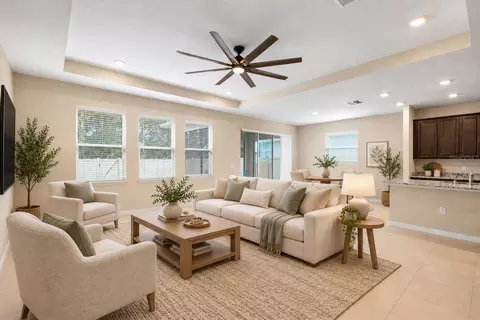 Living - 13071 Brookside Moss Dr, Riverview, FL 33579 photo 4 of 11