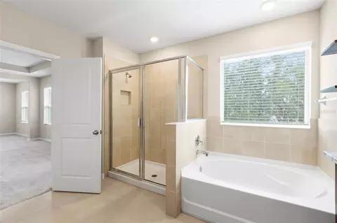 Bath - 13071 Brookside Moss Dr, Riverview, FL 33579 photo 5 of 8