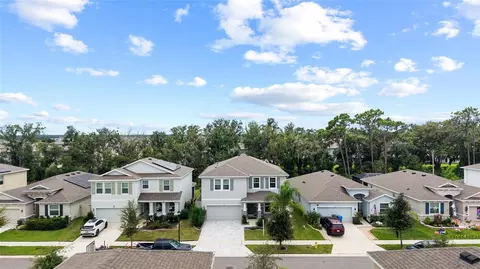 View/Area - 13071 Brookside Moss Dr, Riverview, FL 33579 photo 1 of 15