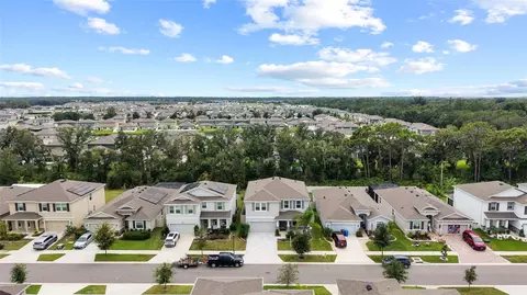 View/Area - 13071 Brookside Moss Dr, Riverview, FL 33579 photo 10 of 15