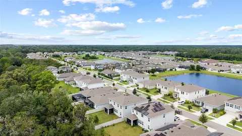 View/Area - 13071 Brookside Moss Dr, Riverview, FL 33579 photo 6 of 15