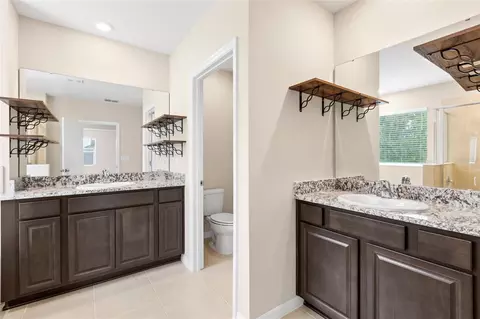 Bath - 13071 Brookside Moss Dr, Riverview, FL 33579 photo 2 of 8