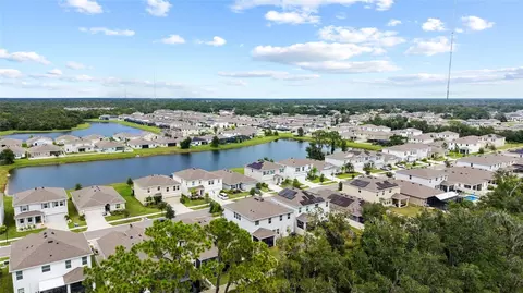 View/Area - 13071 Brookside Moss Dr, Riverview, FL 33579 photo 8 of 15