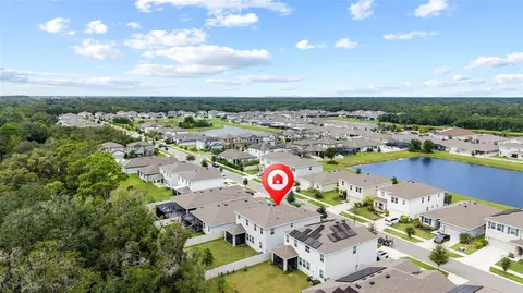View/Area - 13071 Brookside Moss Dr, Riverview, FL 33579 photo 7 of 15