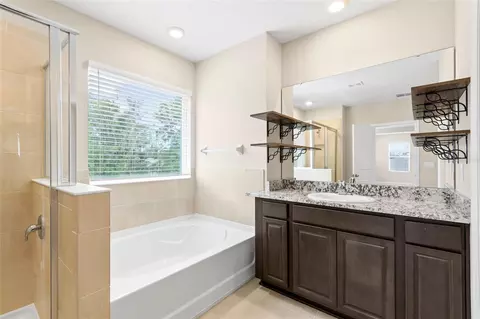 Bath - 13071 Brookside Moss Dr, Riverview, FL 33579 photo 3 of 8
