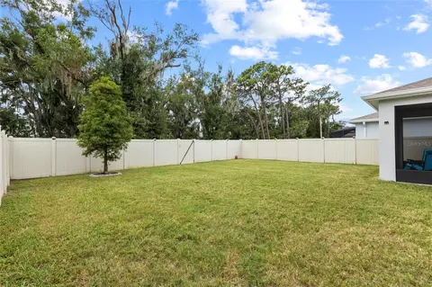 Exterior - 13071 Brookside Moss Dr, Riverview, FL 33579 photo 12 of 14
