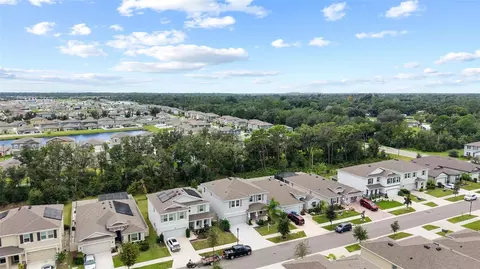 View/Area - 13071 Brookside Moss Dr, Riverview, FL 33579 photo 4 of 15