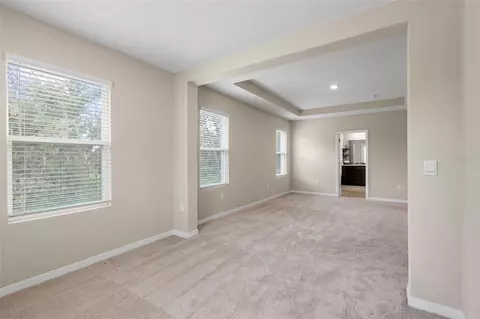 Other - 13071 Brookside Moss Dr, Riverview, FL 33579 photo 6 of 13