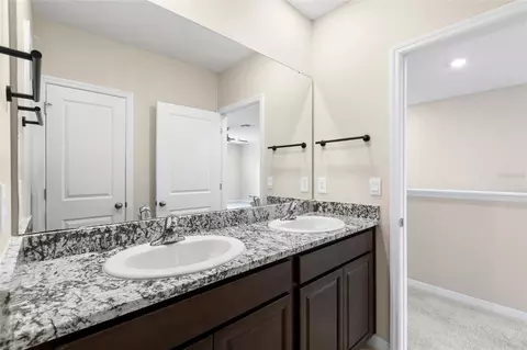 Bath - 13071 Brookside Moss Dr, Riverview, FL 33579 photo 7 of 8