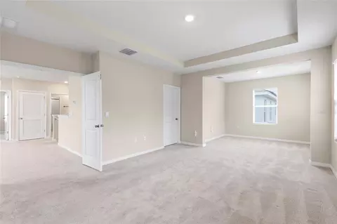 Living - 13071 Brookside Moss Dr, Riverview, FL 33579 photo 11 of 11