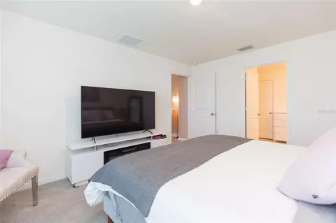 Bedroom - 11933 Downy Birch Dr, Riverview, FL 33569 photo 3 of 8