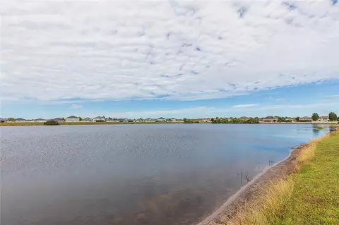 View/Area - 11933 Downy Birch Dr, Riverview, FL 33569 photo 4 of 4