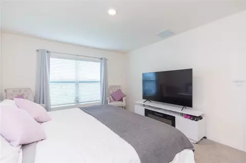 Bedroom - 11933 Downy Birch Dr, Riverview, FL 33569 photo 4 of 8