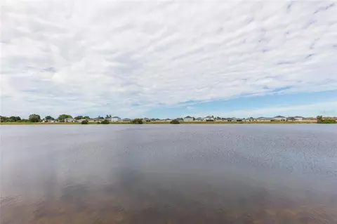 View/Area - 11933 Downy Birch Dr, Riverview, FL 33569 photo 3 of 4