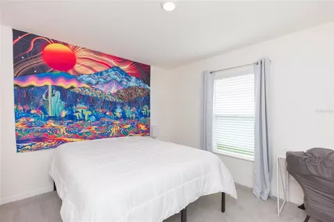 Bedroom - 11933 Downy Birch Dr, Riverview, FL 33569 photo 7 of 8